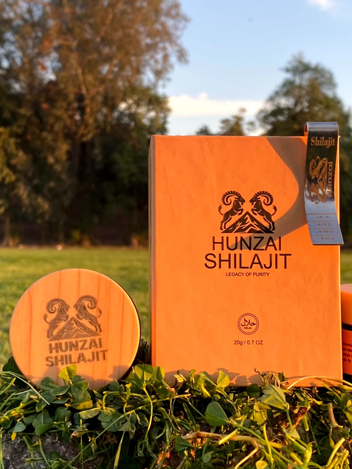 Hunzai Shilajit – Pure Himalayan Shilajit Resin | 100% Natural & Authentic | 20g