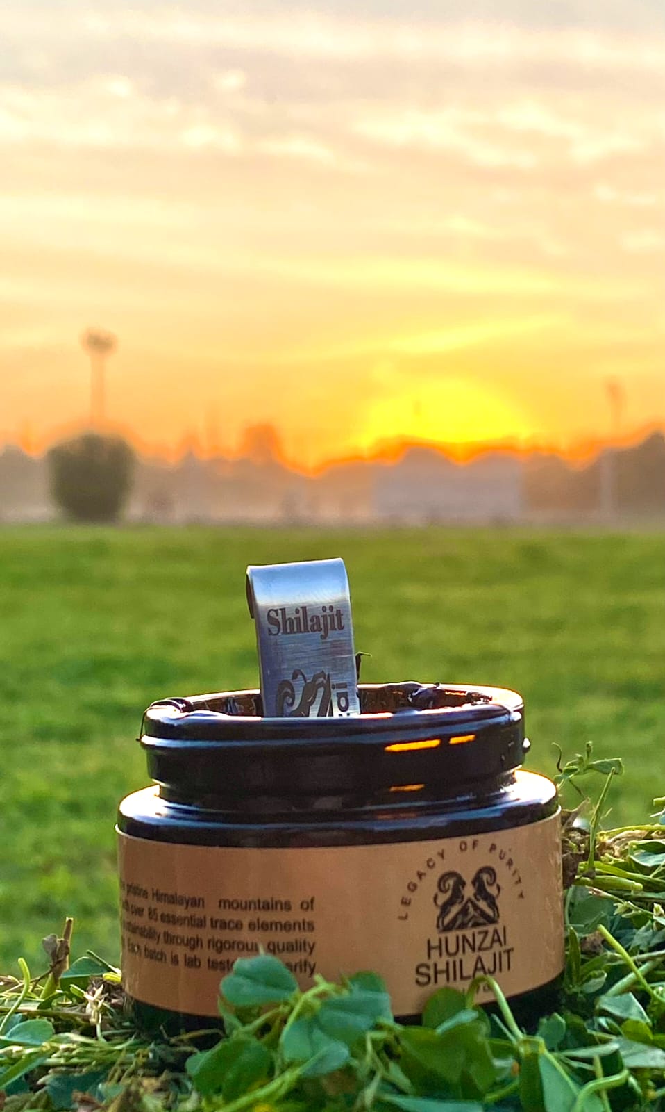 Hunzai Shilajit – Pure Himalayan Shilajit Resin | 100% Natural & Authentic | 20g