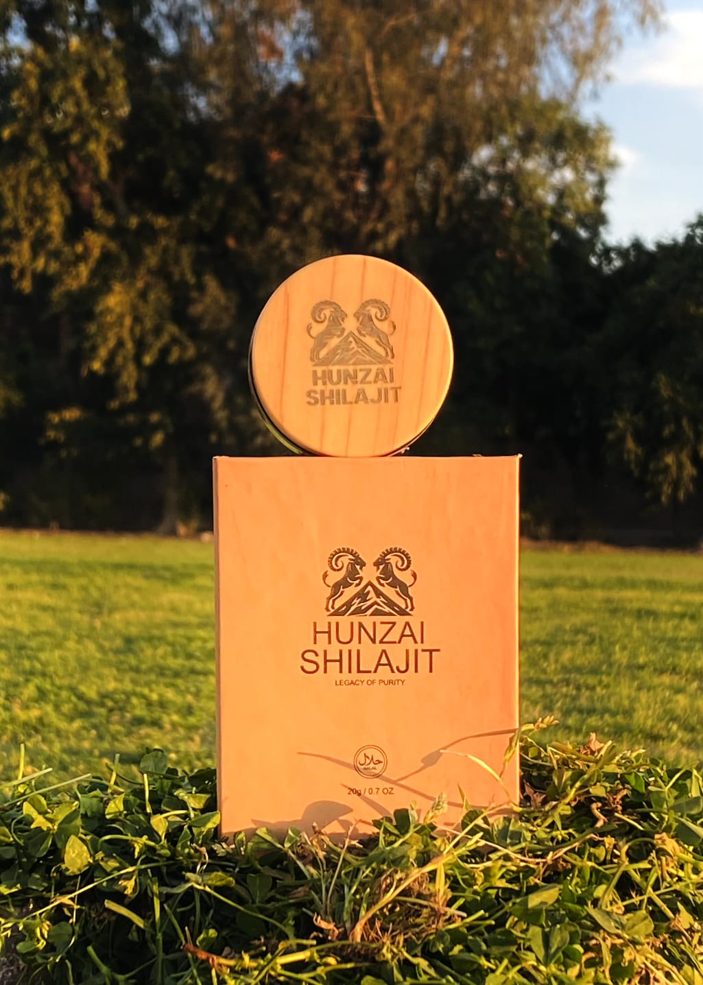 Hunzai Shilajit – Pure Himalayan Shilajit Resin | 100% Natural & Authentic | 20g